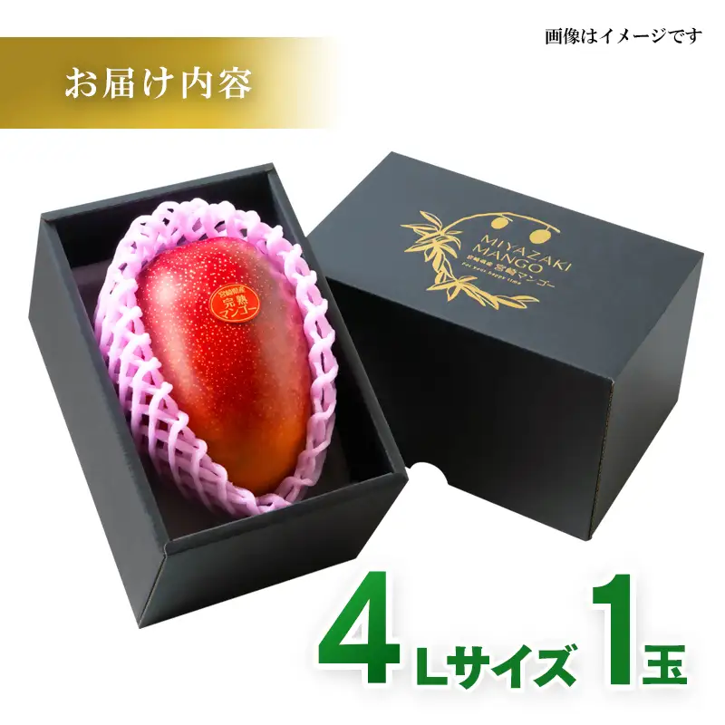 【先行予約】2027年発送【長友農園】    糖度14度以上大玉4Lサイズ(600g以上)完熟マンゴー 宮崎県西都産 生産者直送＜46-3a＞