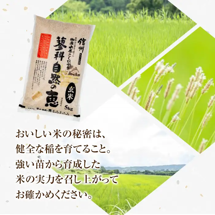 【令和8年産米】 信州たてしな産 蓼科自然の恵 (玄米) 10kg