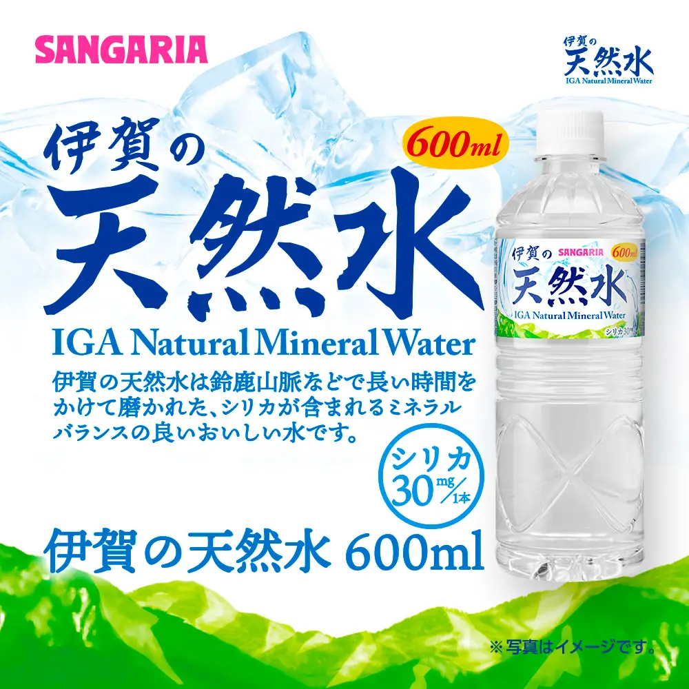 【6ヶ月定期便】天然水 サンガリア伊賀の天然水 １ケース（1ケース：600mL×24本）水【igge-tkb0019】
