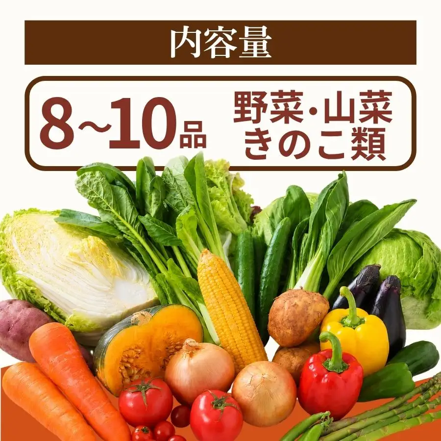 季節の野菜セット 2回 野菜定期便