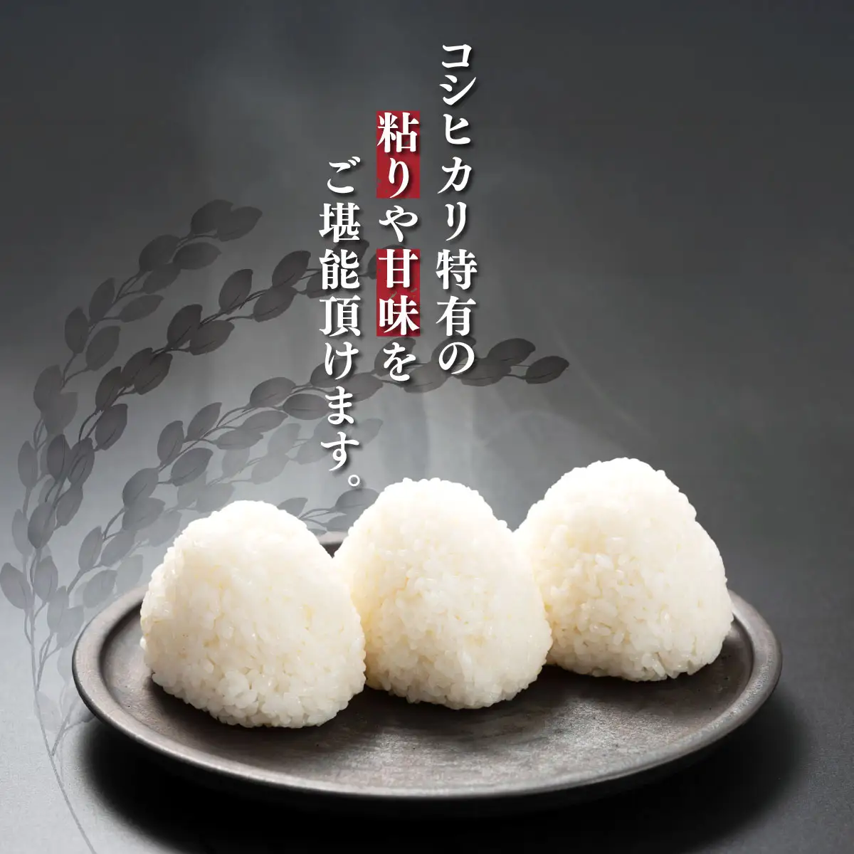 【最短2～7営業日にて出荷】令和8年度産  上総の純粋米  「コシヒカリ」  30kg (5kg×6)  【厳選】千葉県産 KCV004