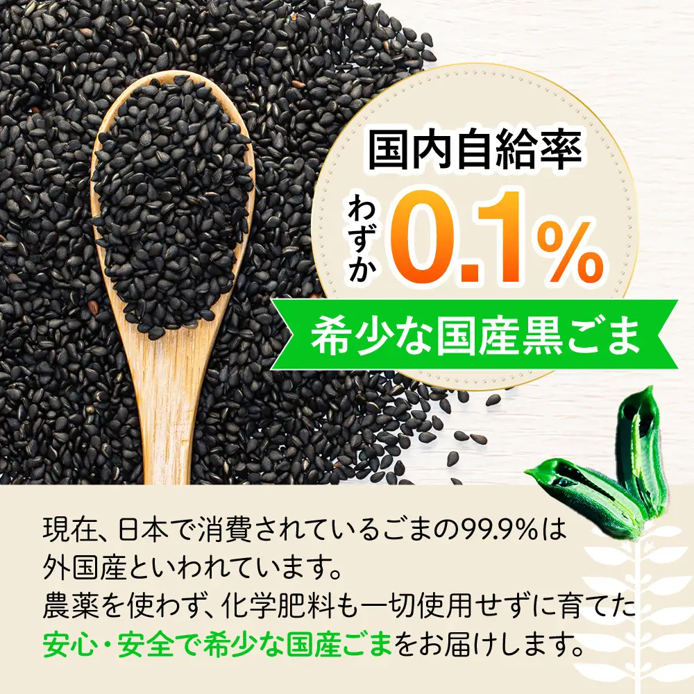 立科町産 黒ごま（炒り胡麻） 25g×10袋