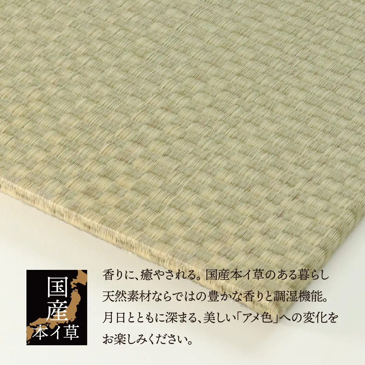 【垂井ブランド】ふわっと畳（あおら） イ草 ヘリ無し １枚｜たたみ マット 置き畳 ユニット畳 琉球畳 国産 天然素材 薄型 軽量 フローリング 新築 リフォーム 防災