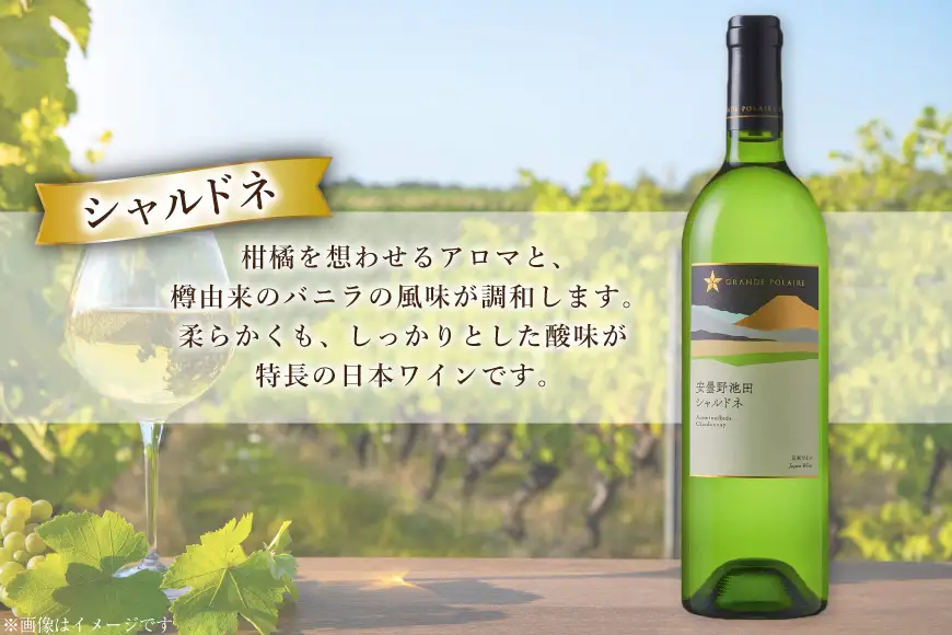ワイン セット サッポログランポレール 安曇野池田ヴィンヤードワイン 白2種セット 750ml 計2本
