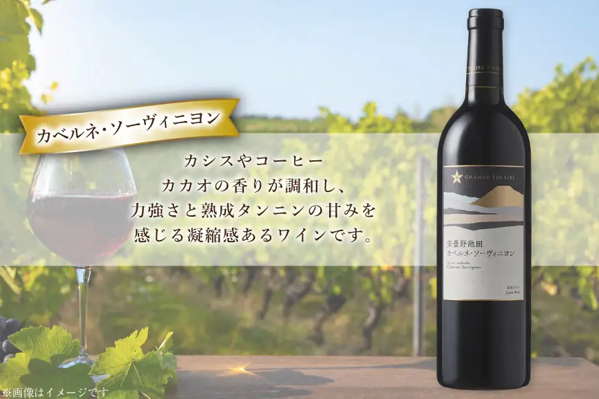 ワイン セット サッポログランポレール 安曇野池田ヴィンヤードワイン 赤白2種セット 750ml 計2本