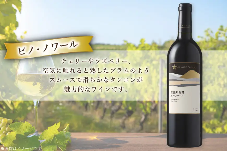 赤ワイン セット サッポログランポレール 安曇野池田ヴィンヤードワイン 赤2種セット 750ml 計2本
