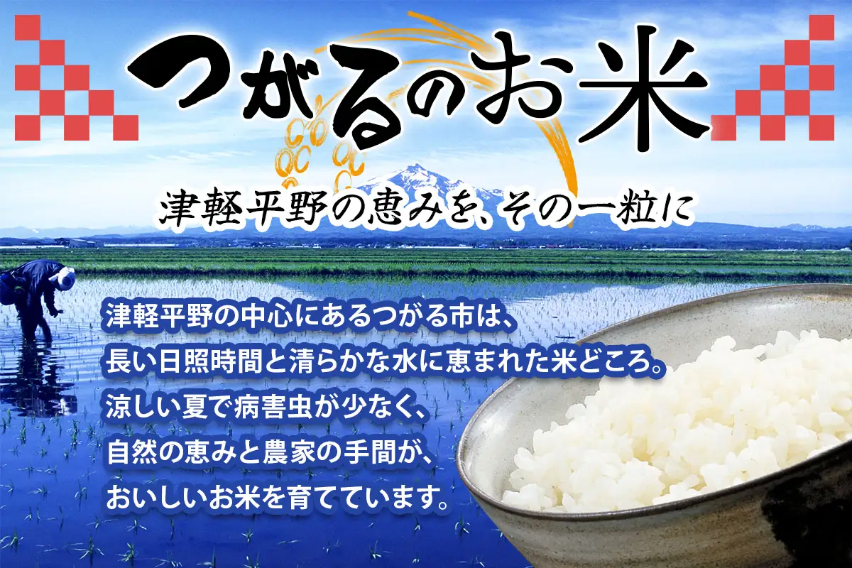 令和8年産 つがる市産 まっしぐら 白米／玄米 15kg [1081]