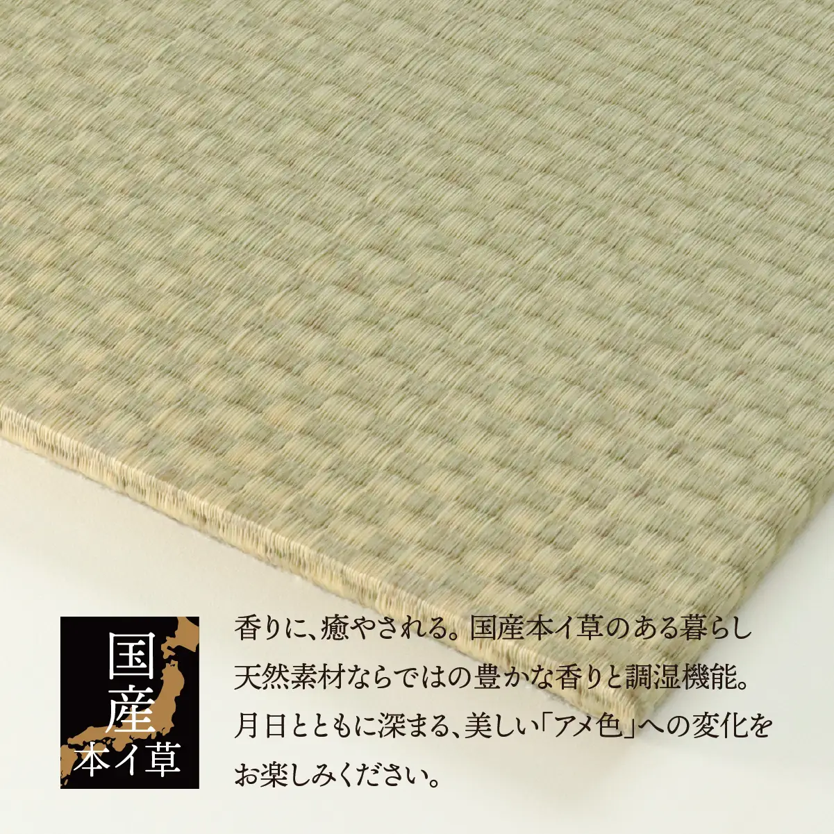 【垂井ブランド】ふわっと畳（あおら） イ草 ヘリ無し 3枚｜たたみ マット 置き畳 ユニット畳 琉球畳 国産 天然素材 薄型 軽量 フローリング 新築 リフォーム 防災