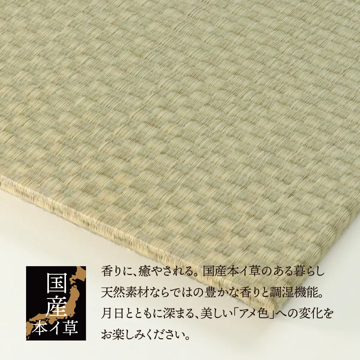 【垂井ブランド】ふわっと畳（あおら） イ草 ヘリ無し 6枚｜たたみ マット 置き畳 ユニット畳 琉球畳 国産 天然素材 薄型 軽量 フローリング 新築 リフォーム 防災