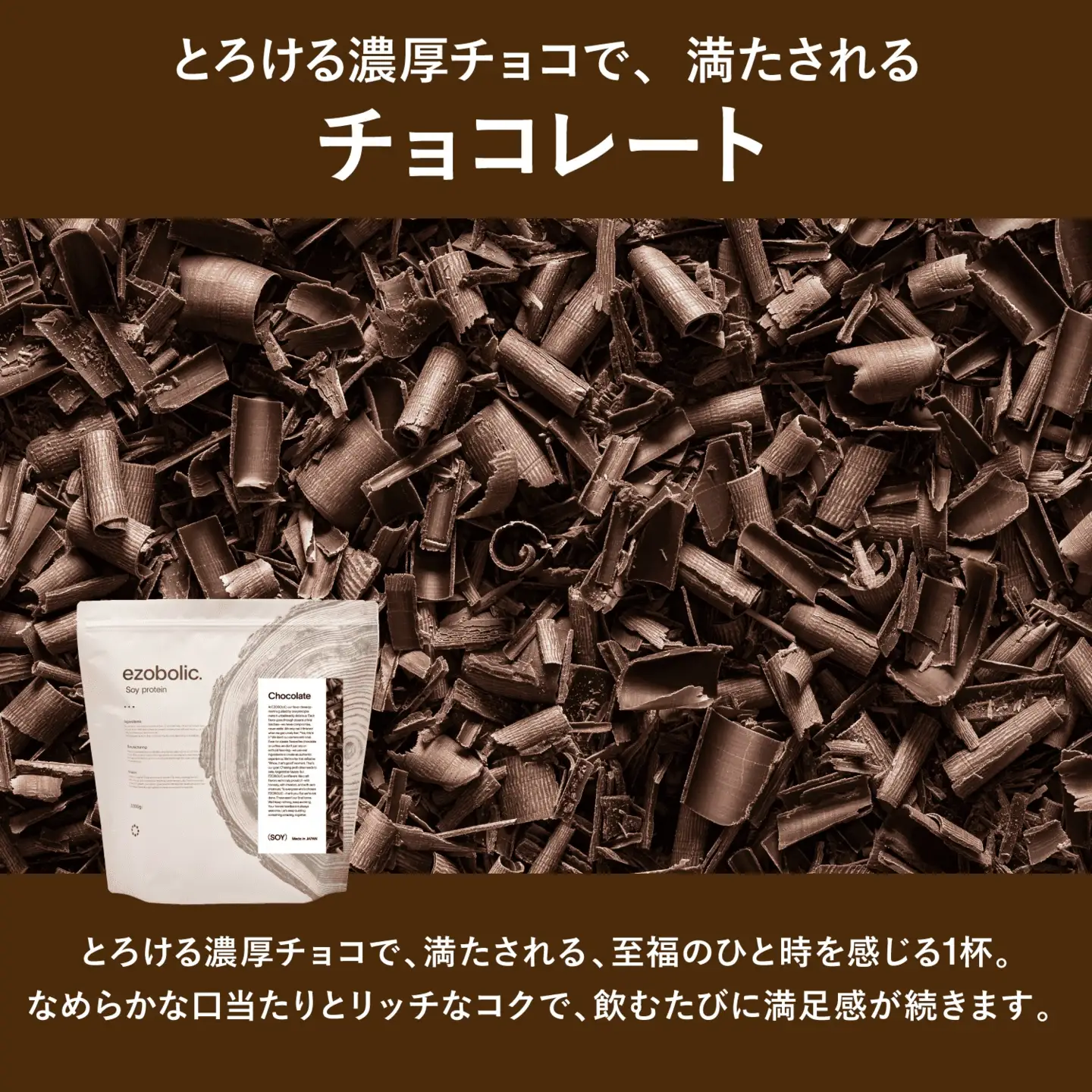 【チョコレート風味】 EZOBOLIC ソイプロテイン 3kg LG