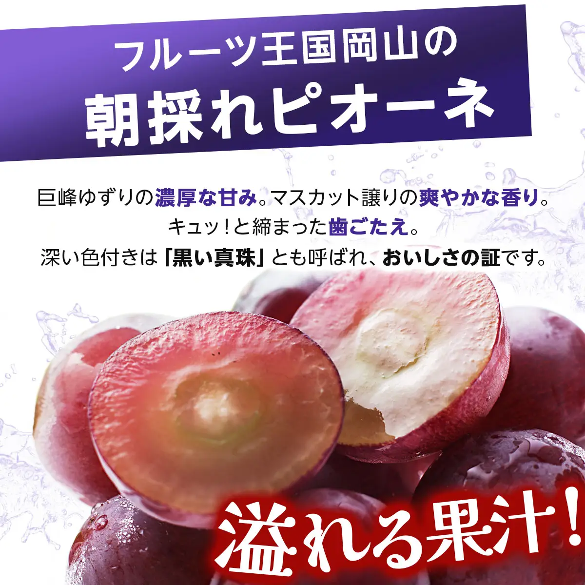 【ご家庭用・訳あり品】安芸クイーン・ピオーネ　約800g（2房入）