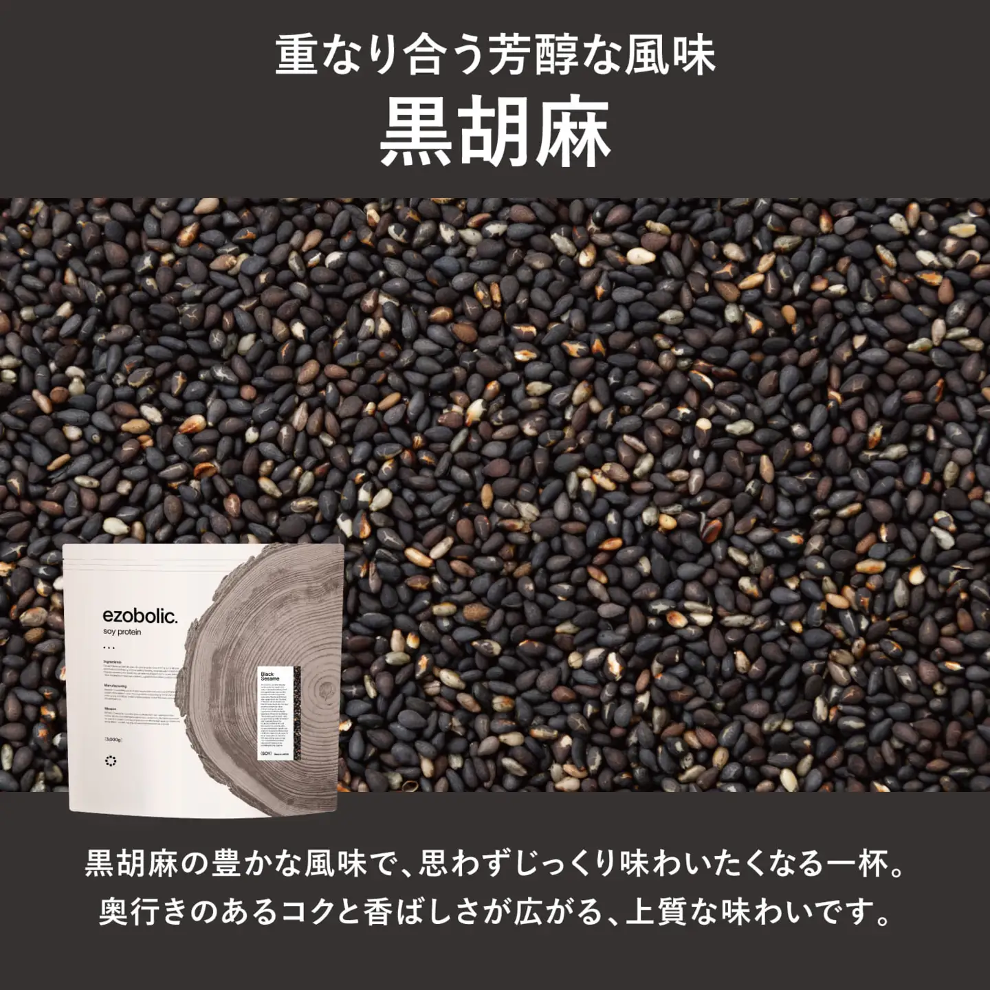 【黒ごま風味】 EZOBOLIC ソイプロテイン 1kg LG