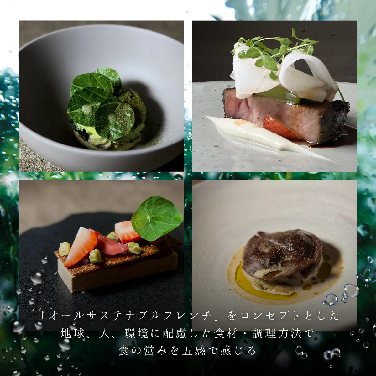 【永田町　フレンチ】Noeud.TOKYO「愛南町プレミアムコース」2名様