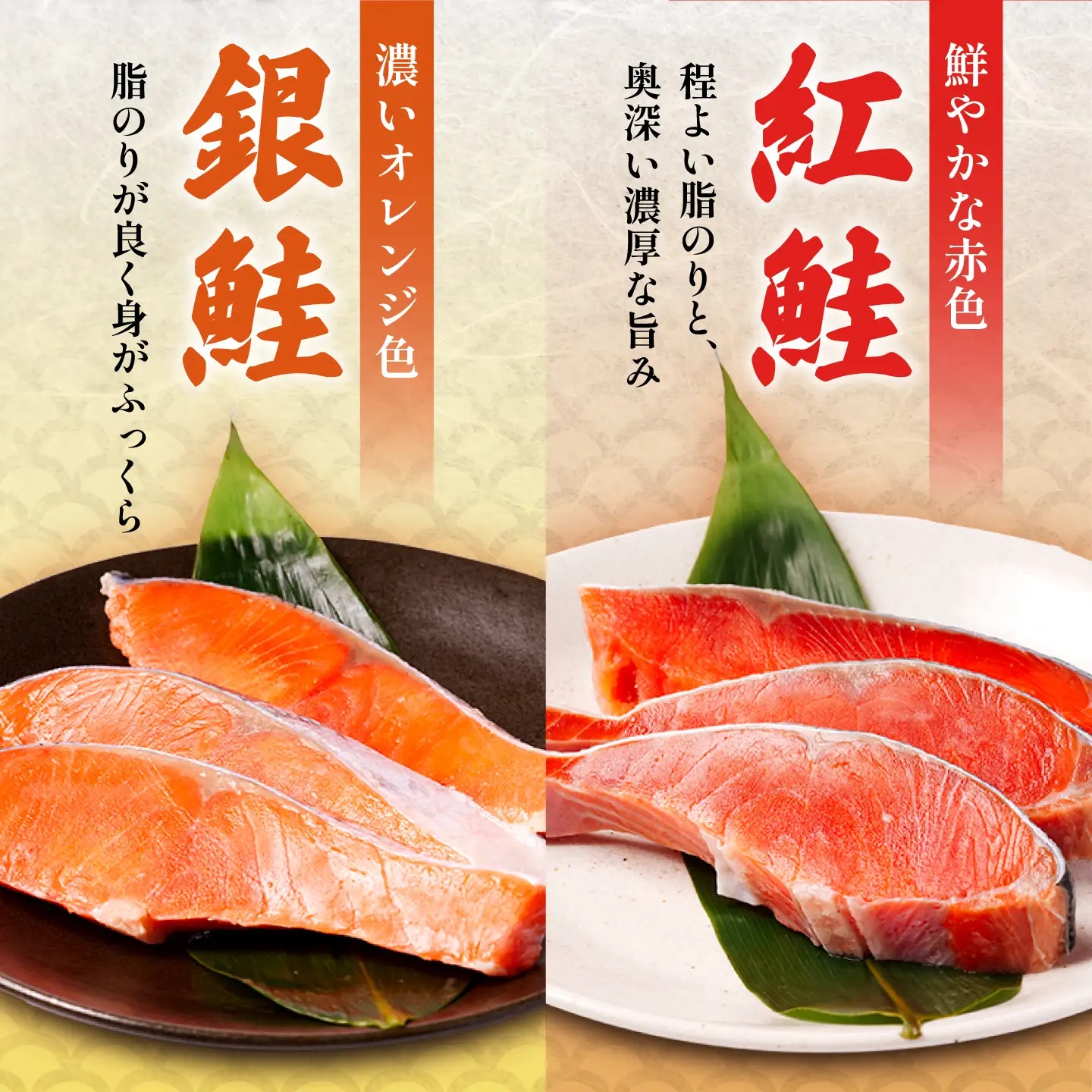 ＼食べ比べ／ 訳あり 厚切り 銀鮭 紅鮭 1.5kg 鮭