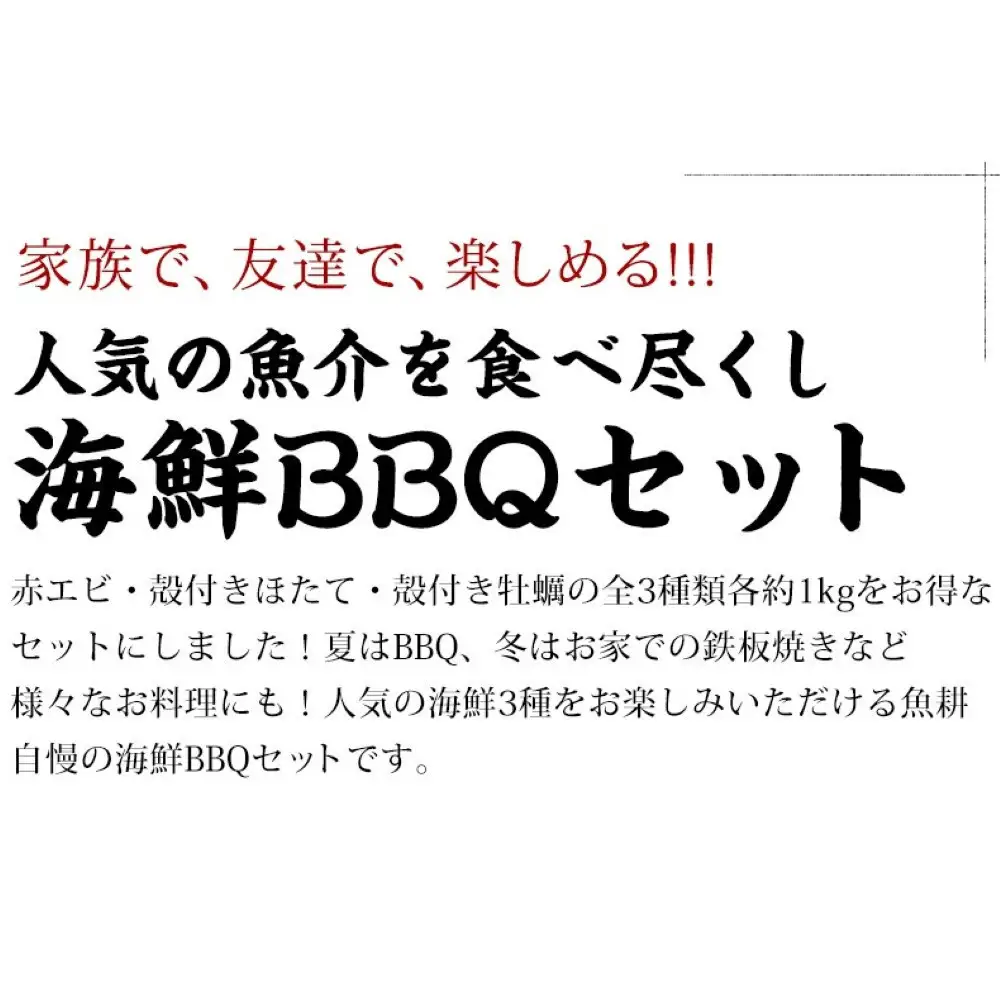 海鮮 バーベキュー セット 殻付き ホタテ 赤海老 牡蠣 3種 約3kg BBQセット 詰め合わせ