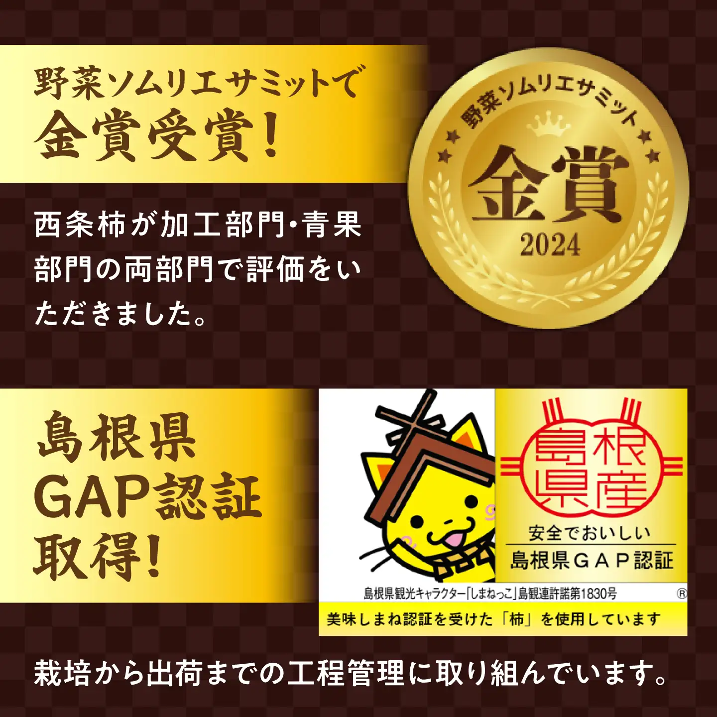 【先行予約】干し柿 食べ比べ 8玉 柿 干し柿 果物 西条柿 贈答用[ALCM022]