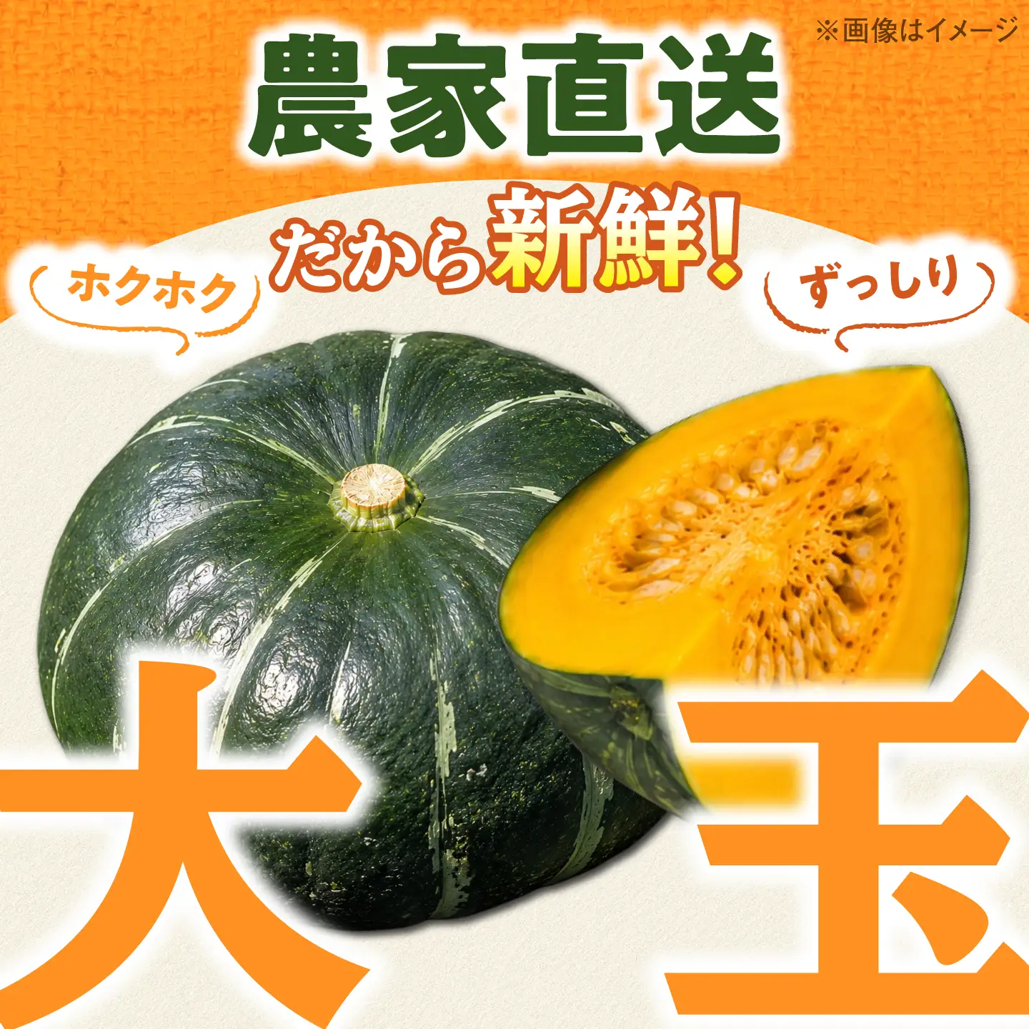 【先行予約】【2027年7月以降順次発送】島根県産 農家直送 大玉かぼちゃ 5kg　島根県松江市/株式会社エムツー食品開発研究所[ALIQ002]