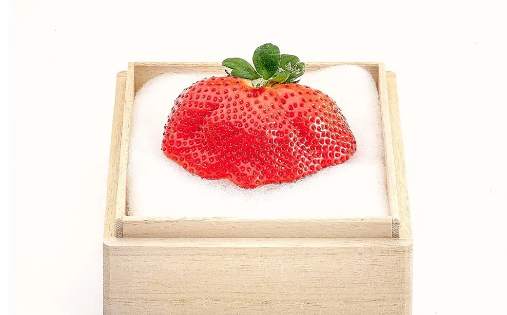 あまおう 「 極 」 特大粒 1粒（約55g～79g） いちご イチゴ 苺 果物 くだもの フルーツ 果実 果肉 希少 桐箱 贈り物 贈答用 プレゼント 国産 福岡県産 【 2026年11月下旬-2027年4月上旬発送予定 】