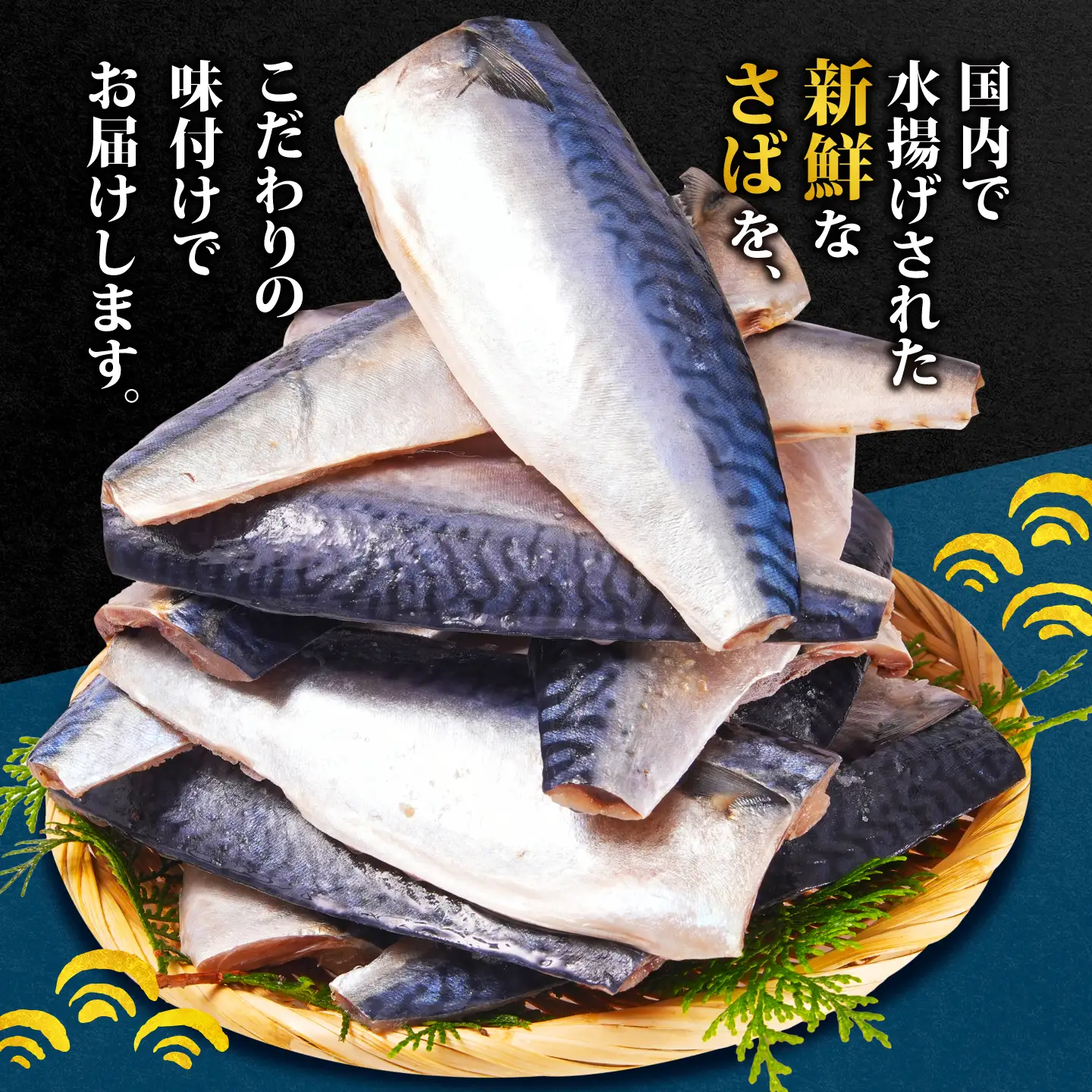 訳あり 国産 塩さば 2kg さば