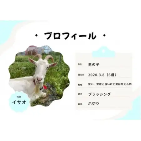 京都府与謝野町で ヤギとのふれあい体験 2名様用【1760902】