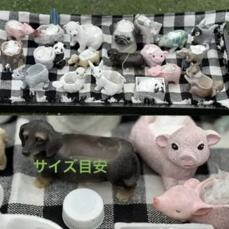 多肉植物寄せ植え作りセット+多肉植物3ポット　C【1720095】