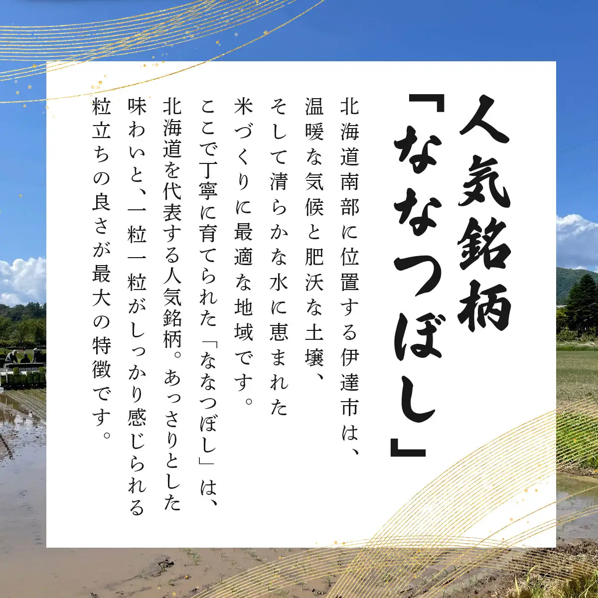 ＜先行予約＞【6回定期便】令和8年産 ななつぼし 精米 10kg【tkk-024_06】