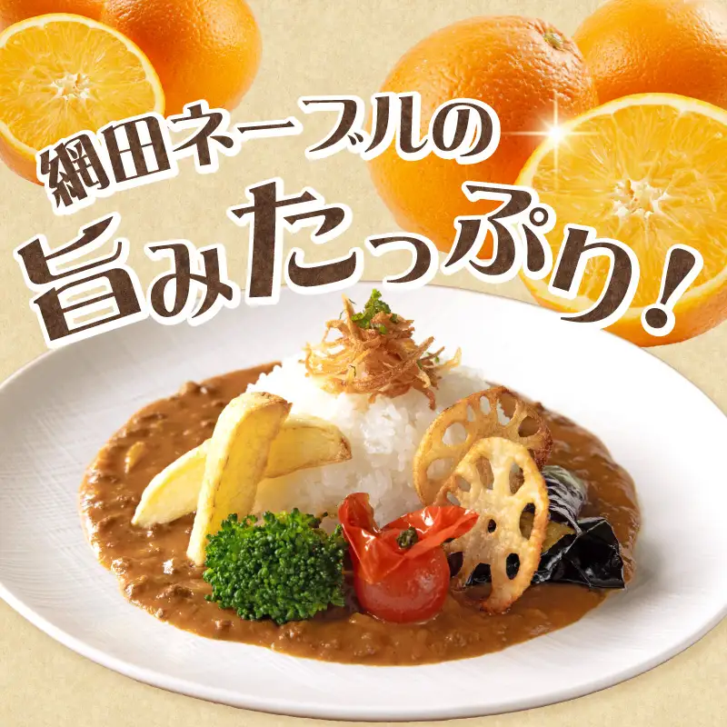 NPO法人網田倶楽部　網田ネーブルカレー_U151-0001