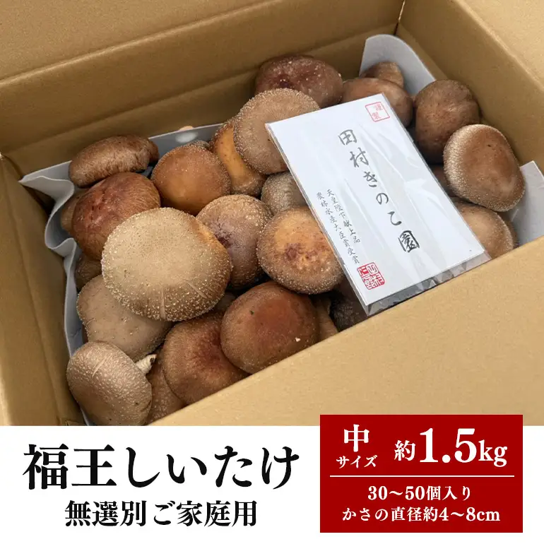 【先行予約/2026年10月末以降発送】福王しいたけ ご家庭用中サイズ1.5kg IA-019