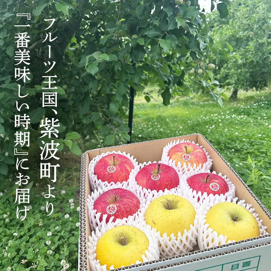 りんご 2種 詰め合わせ 約2.5kg (FB002)