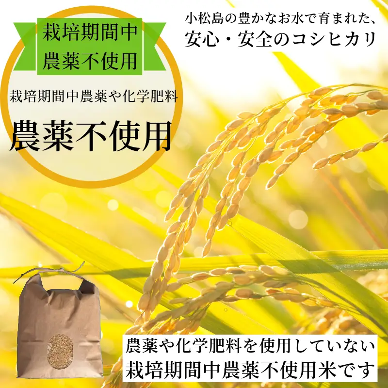 【2026年9月順次発送】 栽培期間中農薬不使用 コシヒカリ玄米 10kg 玄米 米 化学肥料不使用 新米 こめ 健康 ご飯 ダイエット 栄養豊富 ビタミン ミネラル 小松島市