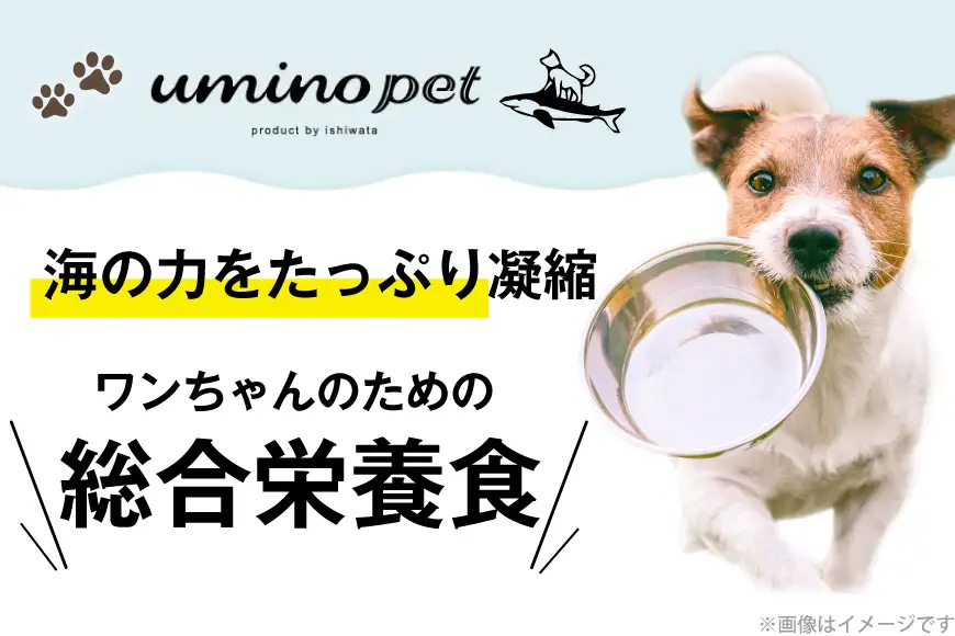 ドッグフード UMINO PET 総合栄養食 800g 3袋