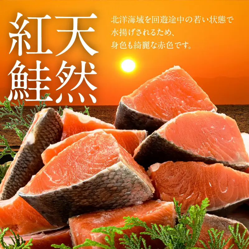 訳あり 紅鮭切落し 3.6kg  形 不揃い 小分け 北洋産 紅鮭_HD272-003