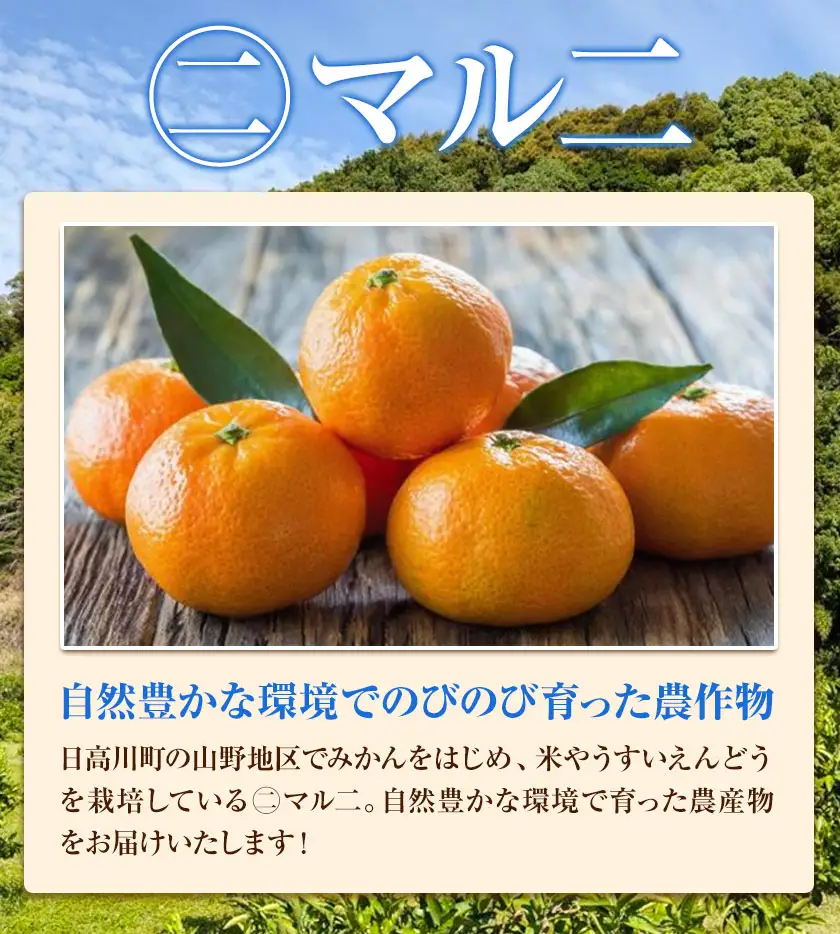 日高川町産みかん 選べる 約5kg 2S-M サイズおまかせ マル二