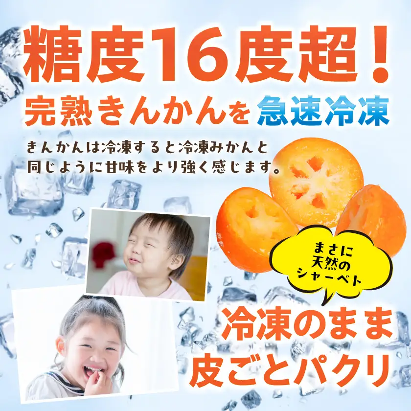 まるかじり氷結きんかん＜種なしハーフカット＞3パック≪みやこんじょ特急便≫〔11-J7-004-3-Q〕_(都城市)