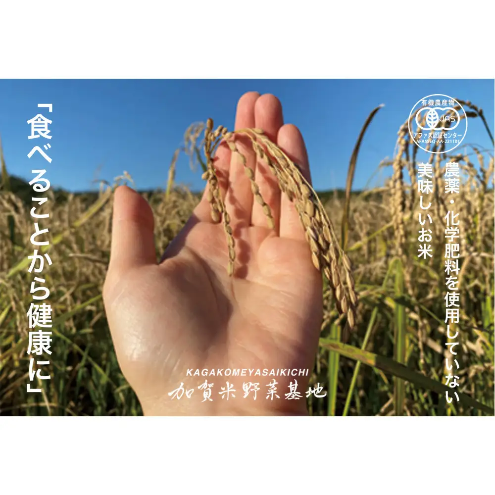 《令和8年産 新米 先行予約》【お米グランプリ3部門受賞】＜有機JAS認証米＞日本一粒の大きいお米『いのちの壱』玄米5kg