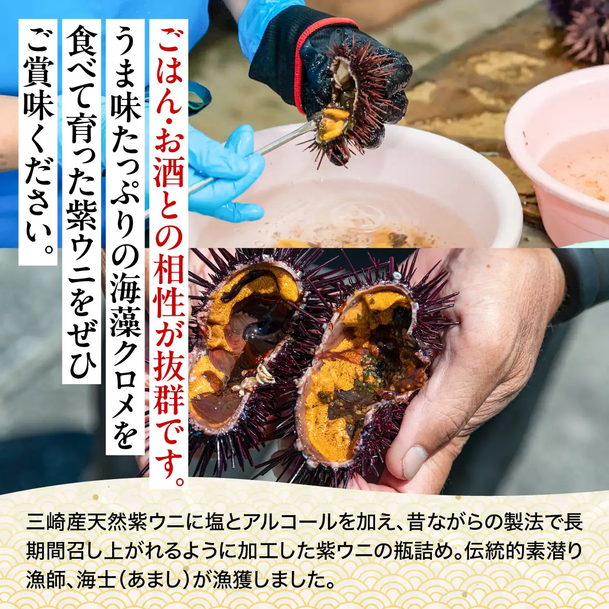 【数量限定】瓶詰め紫ウニ（60g・単品） 冷蔵 ※北海道・東北地方・沖縄・離島への配送不可    IKTJ023
