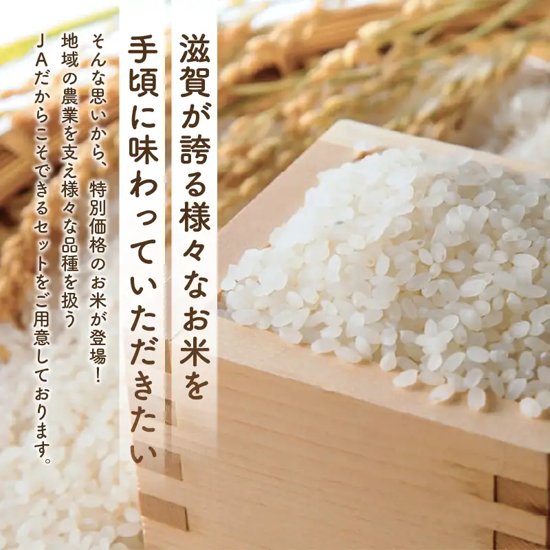 近江米 食べ比べセット 15kg ( 5kg ×3袋) 令和7年産 食べ比べ 近江米 訳あり
