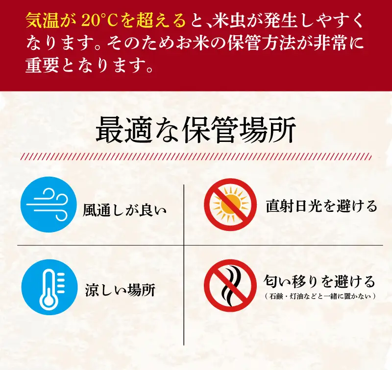 新米受付 ふさこがね 10kg 令和8年産 【新米発送中！最短3営業日以内発送】 新米受付