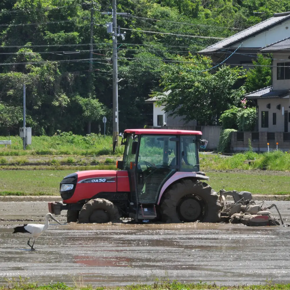 新米 令和8年度産 但馬産 コシヒカリ出石渓流米 5kg ～若手生産者限定・応援プロジェクト～