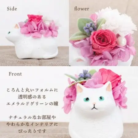 プリザーブドフラワー くつろぎ猫 白猫 枯れないお花、猫好きの方へのプレゼントにもおすすめ!【配送不可地域：離島】【1750209】