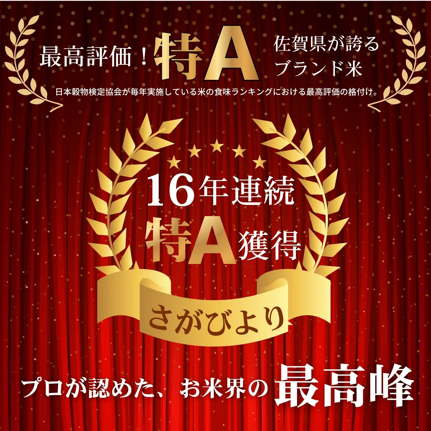 【先行予約】【新米】令和8年 佐賀県産「さがびより」10kg ：B160-056