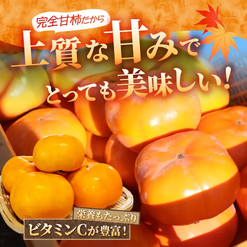 【先行予約】2026年度発送 玉城町産玉城次郎柿 約3.5kg（クレジット申込限定）
