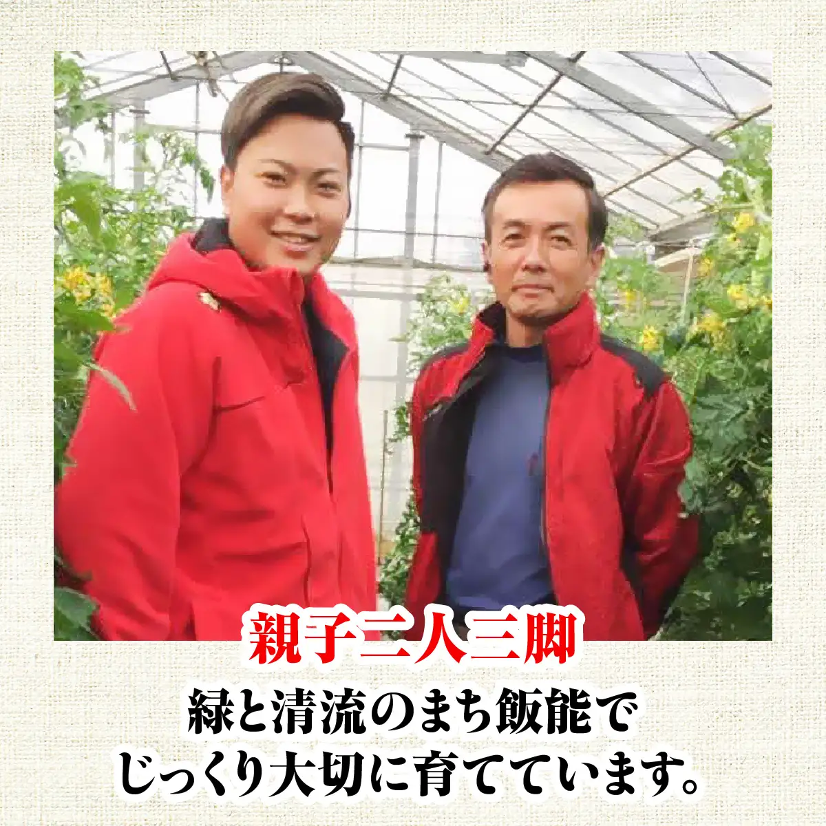 完熟トマトジュース(無塩10本入り) 野菜 野菜ジュース HNNBD002