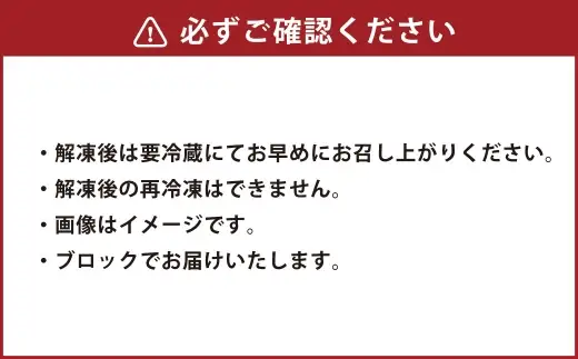 ＜ R8年熊本地震復興支援 ＞熊本 馬刺し 4種 （ 赤身 ・ 霜降り ・ フタエゴ ・ タテガミ ） 各約100g セット 国内肥育 馬肉 ブロック 馬刺 お肉 肉 ニク にく 馬 晩酌 おつまみ 食べ比べ 詰め合わせ 醤油付き 生姜付き 冷凍