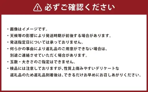 ＜ R8年熊本地震復興支援 ＞トマト 約4kg （ 約20玉 ) とまと 野菜 やさい 果肉 旬 サラダ 酸味 国産 熊本県産