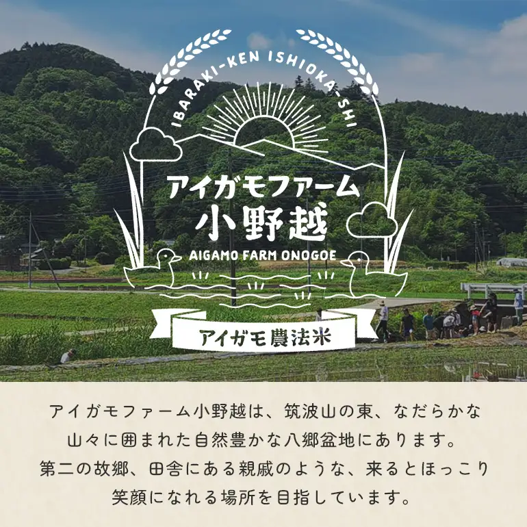 じゃがいも (トヨシロ) 1kg 産地直送 茨城県 石岡市 B03-018