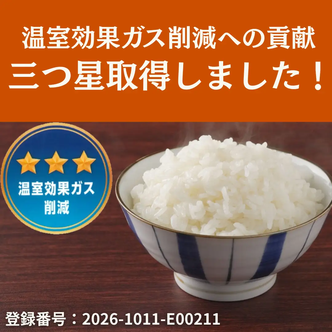 【令和8年産新米予約】阿賀野市産 コシヒカリ 5kg 精米 白米 新潟県 阿賀野市 米 こめ コメ 10月上旬より発送開始予定 3Q01013