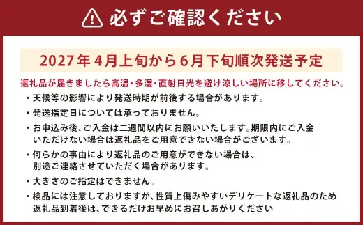 ＜ R8年熊本地震復興支援 ＞熊本うえきスイカ 1玉 （ 約10kg ） スイカ すいか 西瓜 大玉スイカ 大玉 果物 くだもの フルーツ 果実 果肉 国産 熊本県産 甘み 【 2027年4月上旬から6月下旬発送予定 】