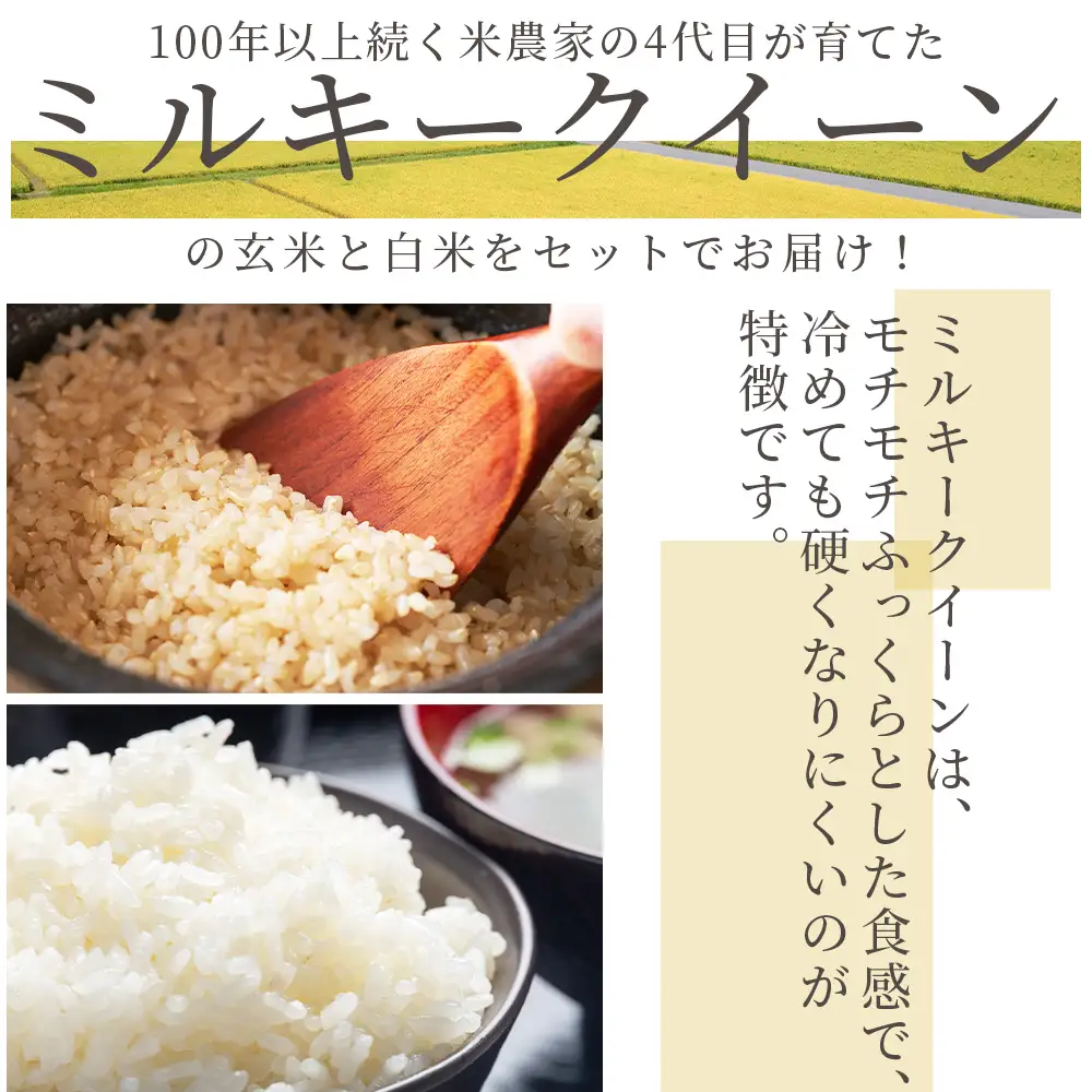 ミルキークイーン 10kg 令和8年産 白米玄米 ミルキークイーン 玄米 sr-0017
