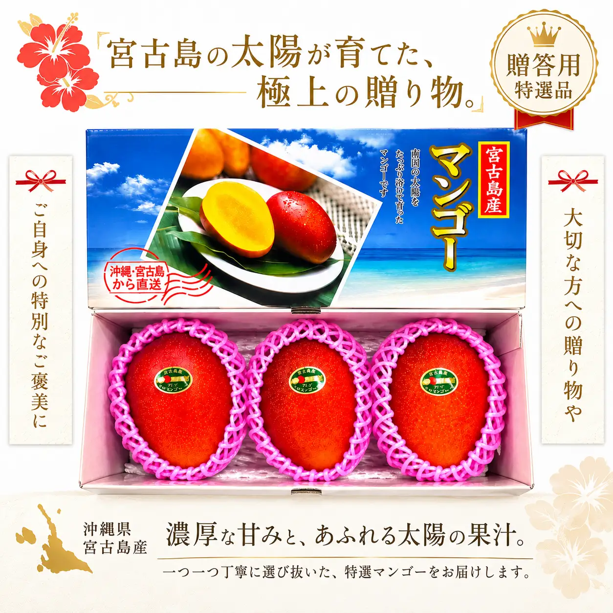 ＜2027年夏発送＞【贈答用】激うま！宮古島産アップルマンゴー1kg(2～3玉)ふれあいフルーツ宮古島（FA02）